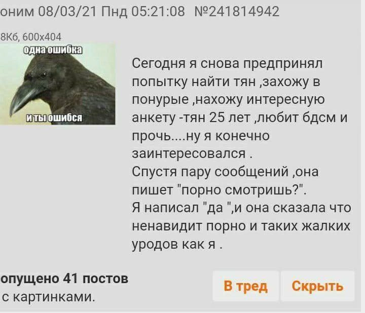 Сетка — новая социальная сеть от hh.ru