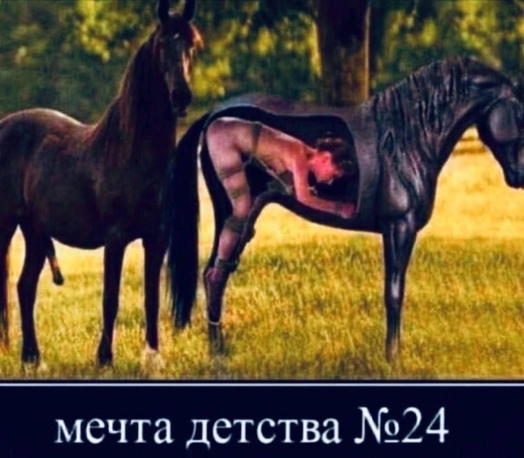 Сетка — новая социальная сеть от hh.ru