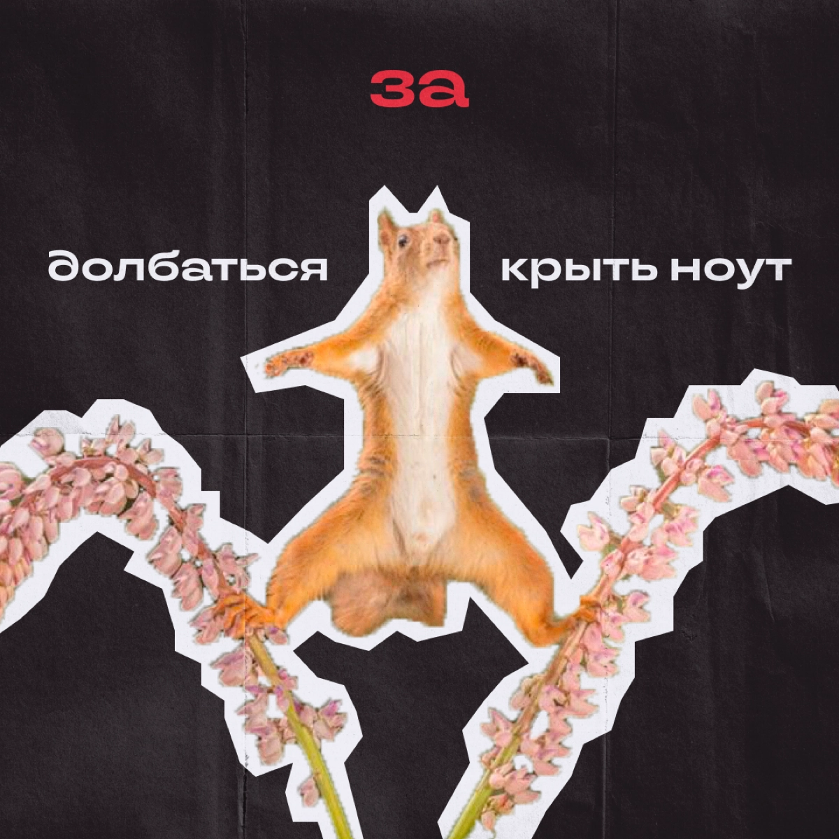 Коллеги, ворк-лайф-баланс — это прошлый век. У нас теперь выходные-выгорание-баланс. И еще несколько штук, в которых приходится держаться на грани | Сетка — новая социальная сеть от hh.ru