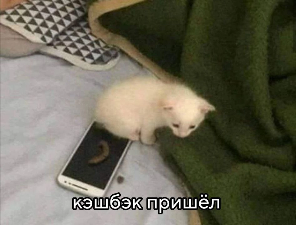 Сетка — новая социальная сеть от hh.ru