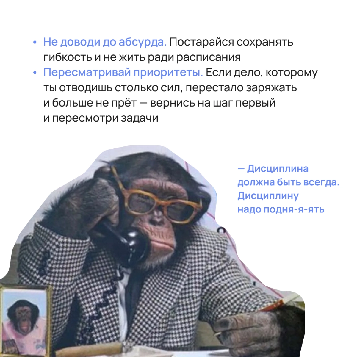 Любая мечта станет сбывшейся, если в основе её – твой жизненный приоритет. Остальное дело техники! 💙 | Сетка — новая социальная сеть от hh.ru