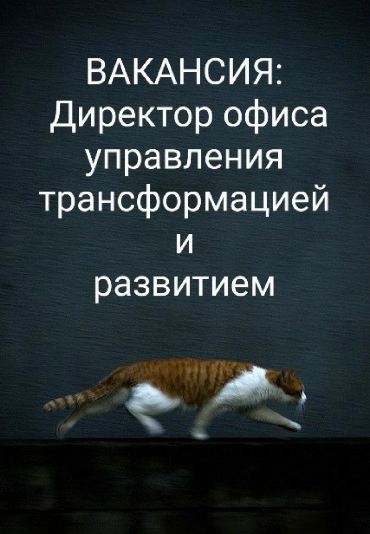 #ВАКАНСИЯ: Директор офиса управления трансформацией и развитием
КОМПАНИЯ: вакансия от КА Marksman - Наш клиент: один из лидеров в отрасли розничной торговли находится в поиске Директора по операционно... | Сетка — новая социальная сеть от hh.ru