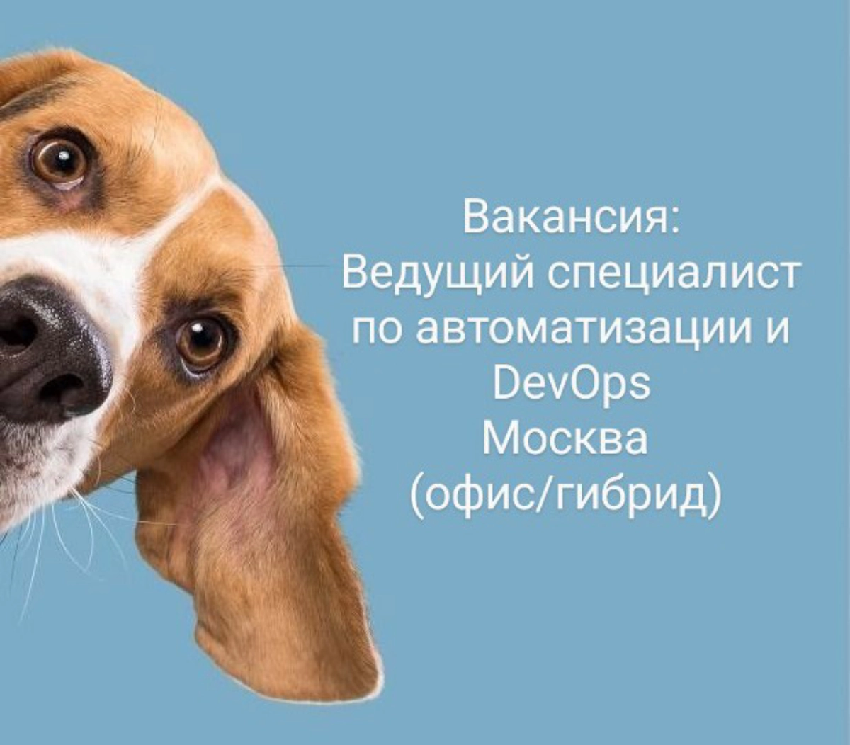 #вакансия #devops #системныйадминистратор
Должность: Ведущий специалист по автоматизации и DevOps
ЗП: 150-200 р по результатам собеседования
Место работы: г | Сетка — новая социальная сеть от hh.ru
