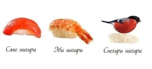 Сетка — новая социальная сеть от hh.ru