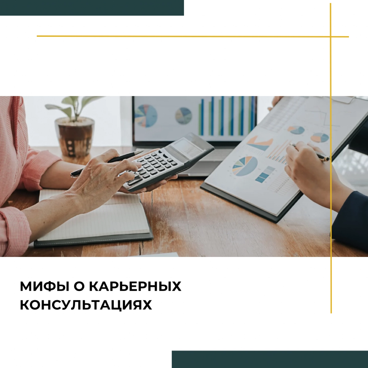 Мифы о карьерных консультациях | Сетка — новая социальная сеть от hh.ru