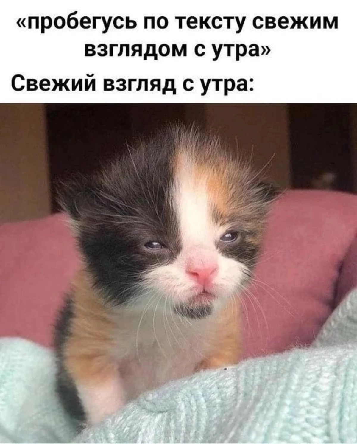 Только так | Сетка — новая социальная сеть от hh.ru