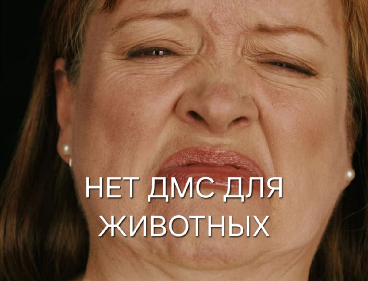 ...согласна, про ДМС для животных я погорячилась
#мем #hr #компенсации #льготы #мотивация | Сетка — новая социальная сеть от hh.ru