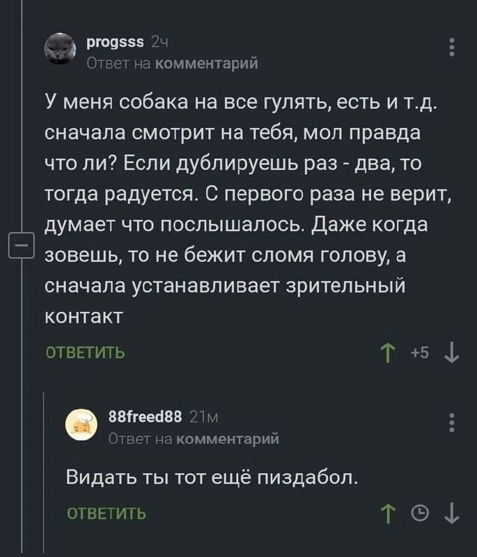 Сетка — социальная сеть от hh.ru