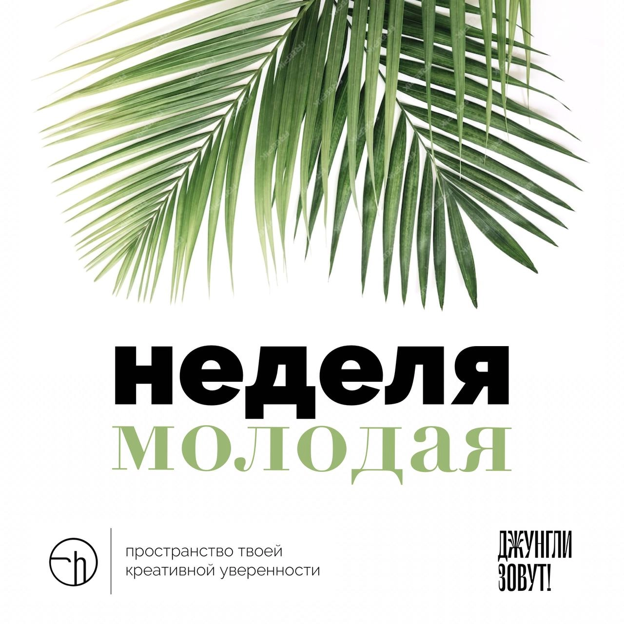 Завтра стартует челлендж с проектом «ДЖУНгли зовут», который ведёт Машер Казанова, HRD REDKEDS и фестиваля G8 | Сетка — новая социальная сеть от hh.ru