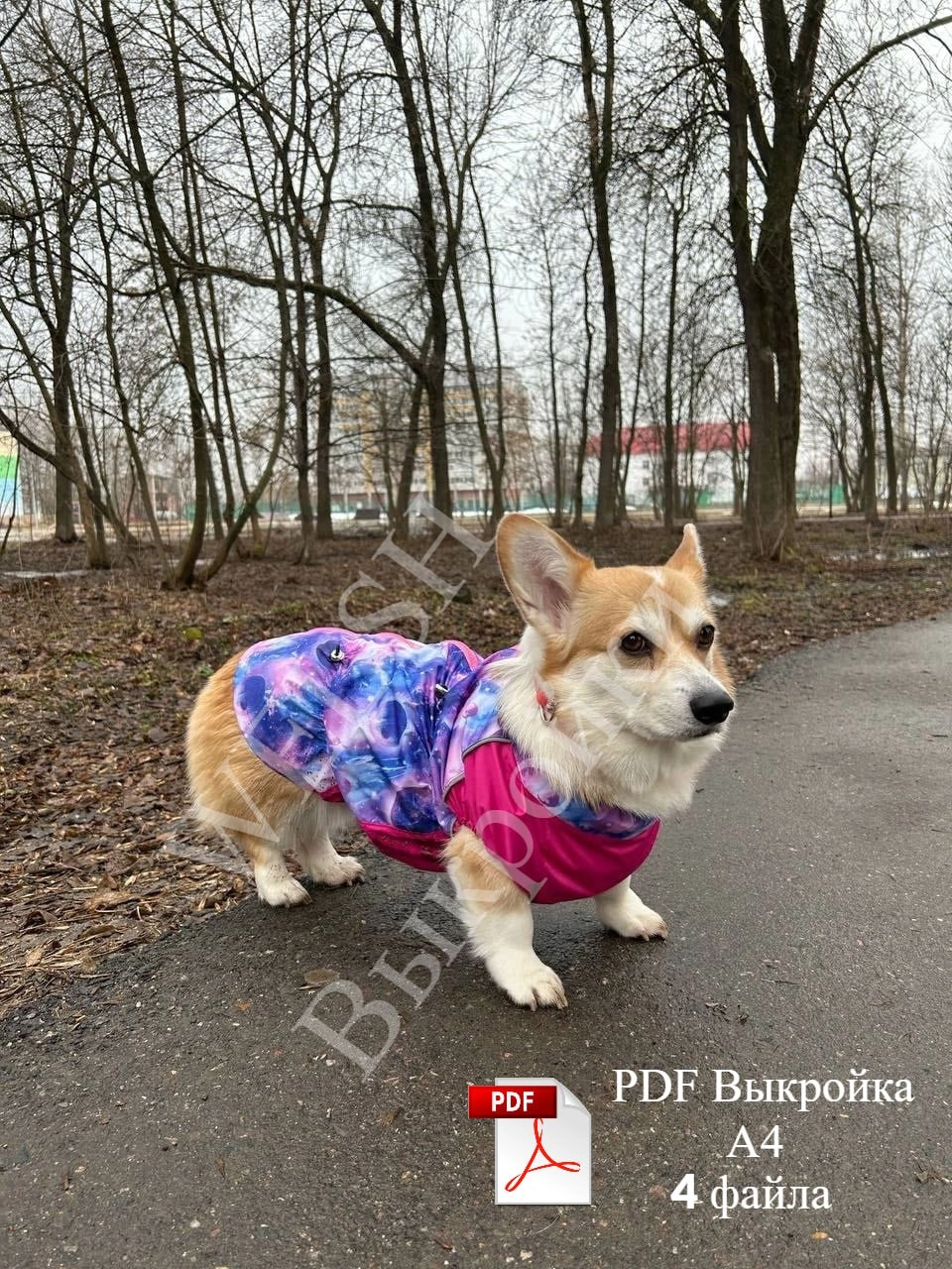 Выкройка на дождевик на КОРГИ! | Сетка — новая социальная сеть от hh.ru