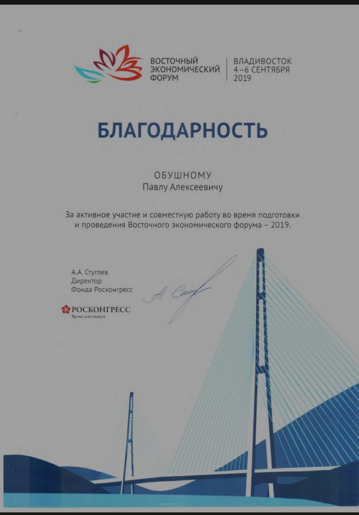 Network member avatar