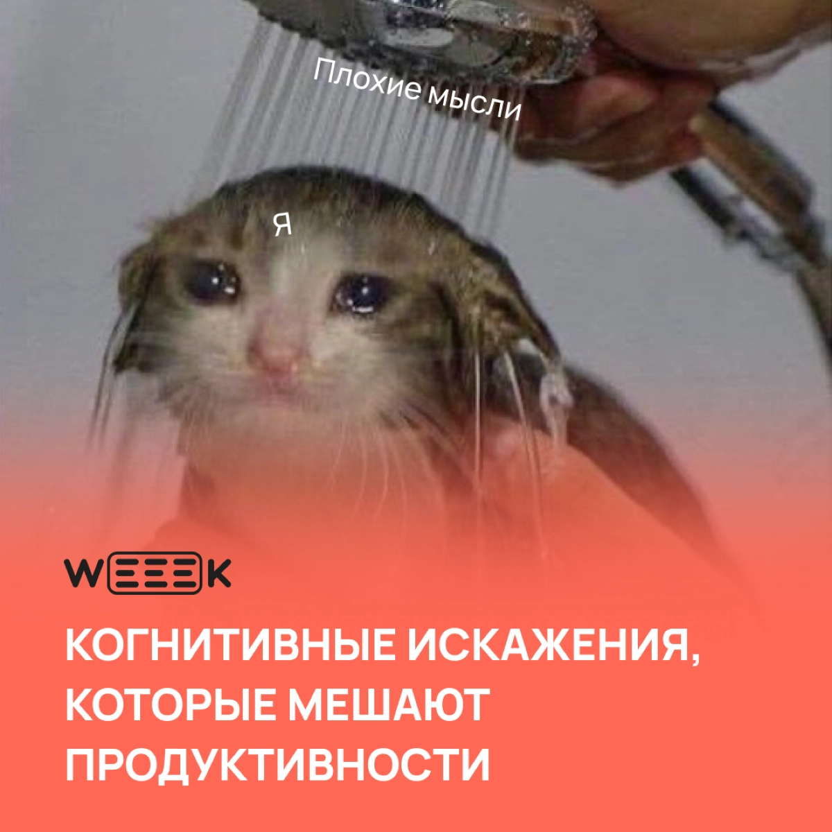 Как говорил Достоевский, ко всему-то человек-подлец привыкает 🙄 Это лишь одна из проблем, которую создаёт наш замечательный мозг. Как не привыкать и отслеживать трюки своего мозга — рассказали в посте | Сетка — новая социальная сеть от hh.ru