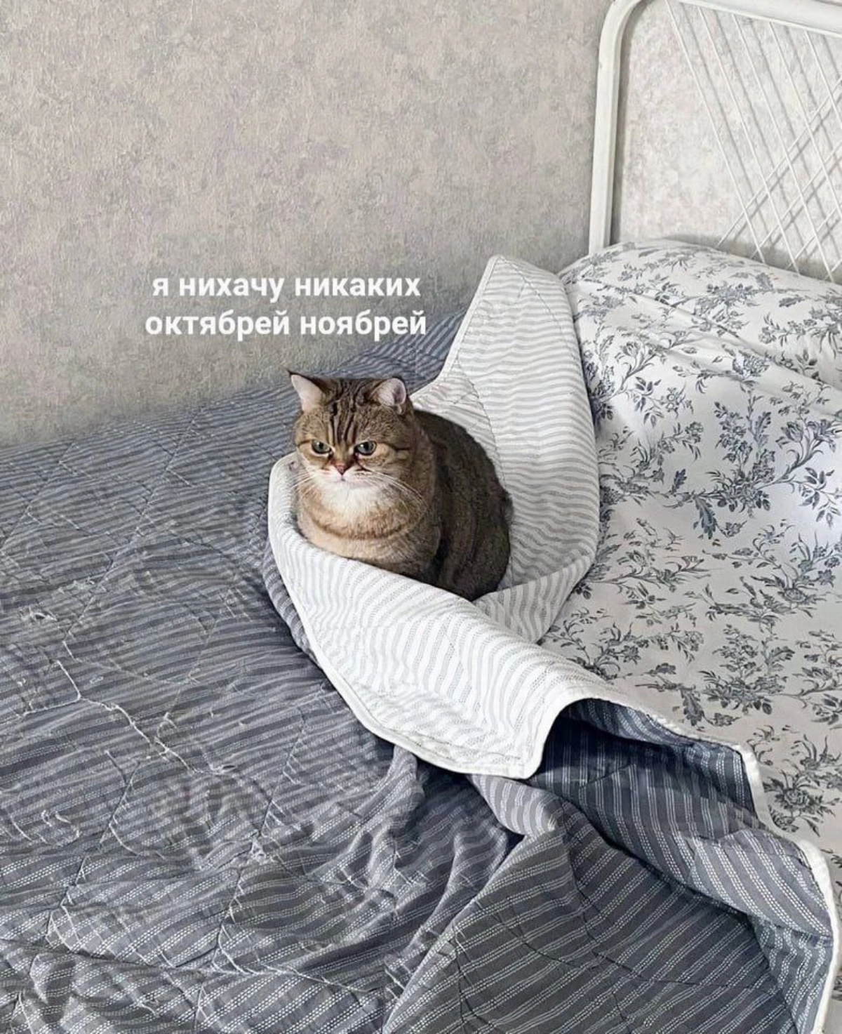 Мне не нравится осенняя слякоть, промозглая погода, на улице ветер и дождь. Хочу не выходить из дома и смотреть что-то тёплое, летнее | Сетка — социальная сеть от hh.ru
