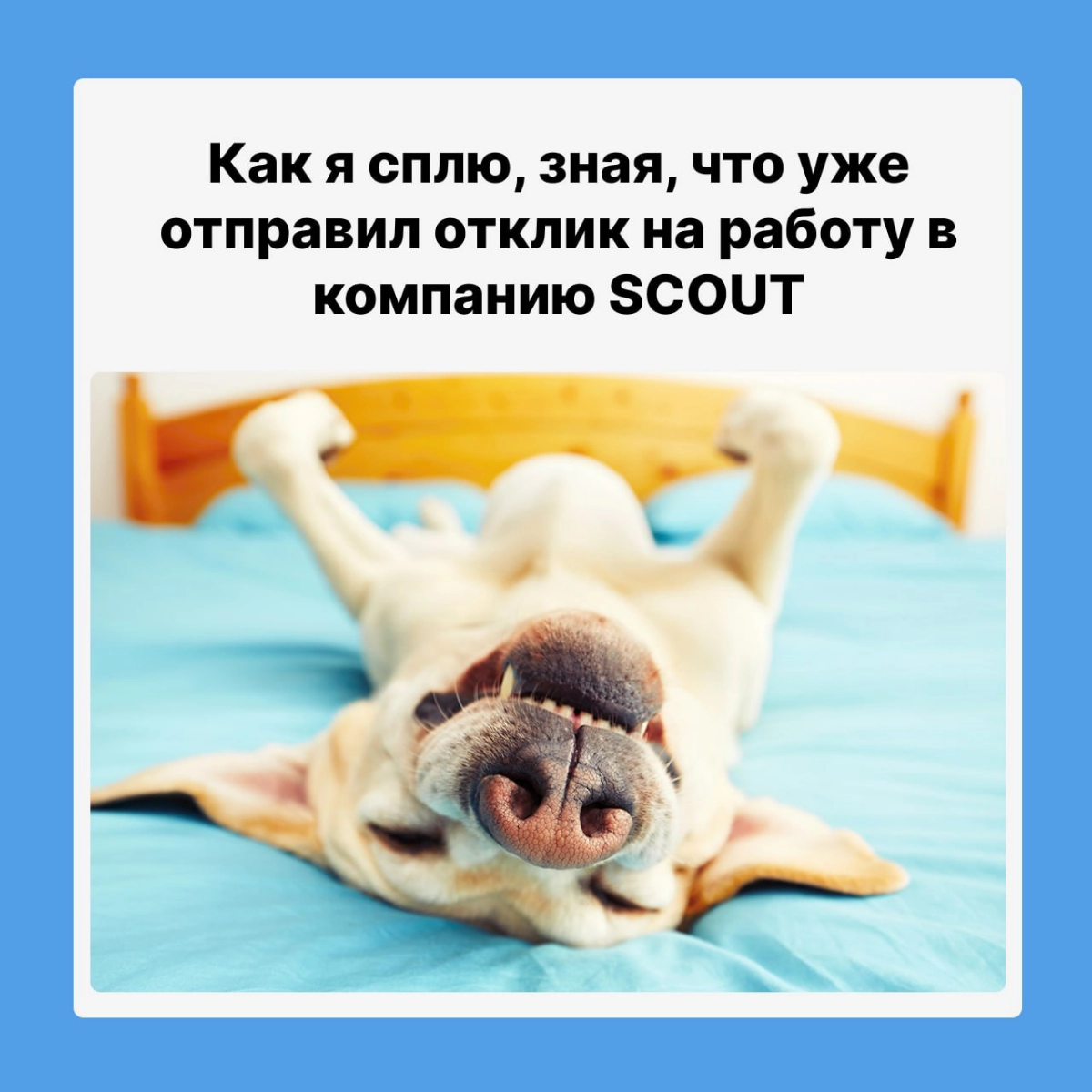 А ты уже оставил отклик?
https://skaut.huntflow.io/ | Сетка — новая социальная сеть от hh.ru