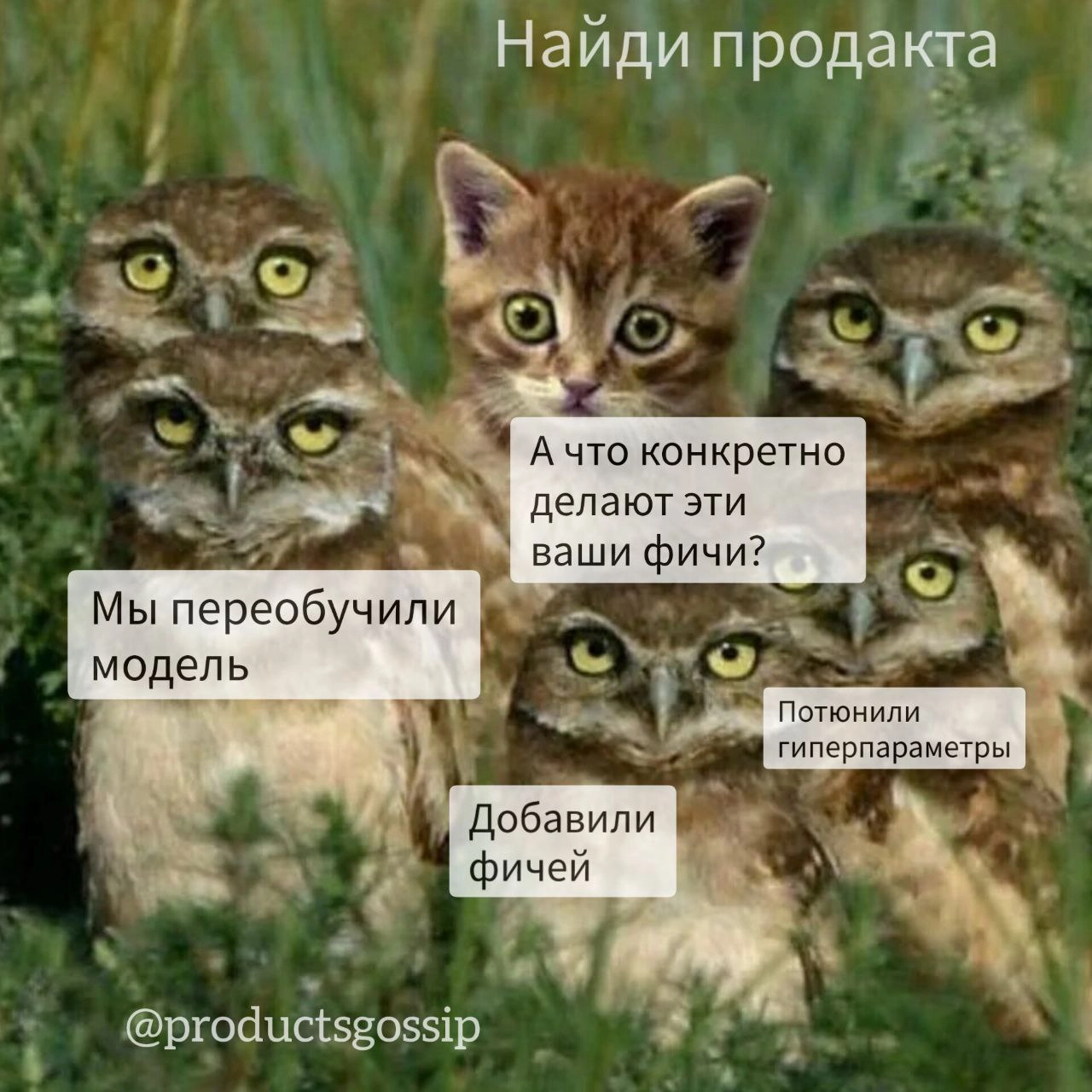 Ну оочень нишевая шутка, поэтому объяснительная бригада прямо в посте
У ML-щиков есть термин "фичи" | Сетка — новая социальная сеть от hh.ru