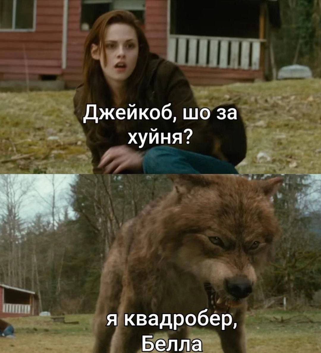 Сетка — новая социальная сеть от hh.ru