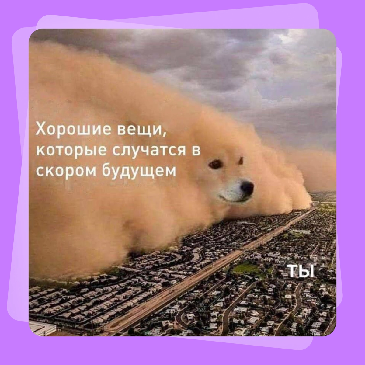 Мем-предсказание на сегодня | Сетка — новая социальная сеть от hh.ru