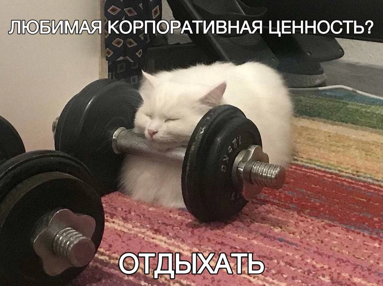 Культура компаний, корпоративные сообщества и Дюркгейм 
Наткнулся на относительную старую, но интересную статью из Калифорнийского университета про культуру организаций и влияние, которое она оказывае... | Сетка — новая социальная сеть от hh.ru