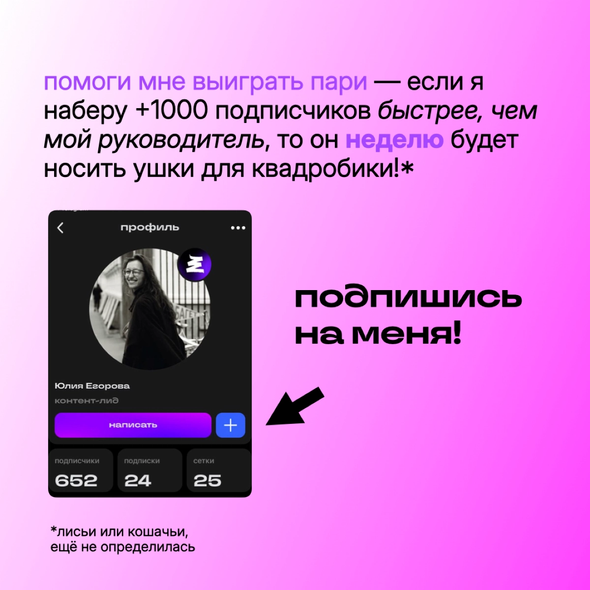 короче говоря, я и мой тимлид заключили пари на рост подписчиков в Сетке | Сетка — новая социальная сеть от hh.ru