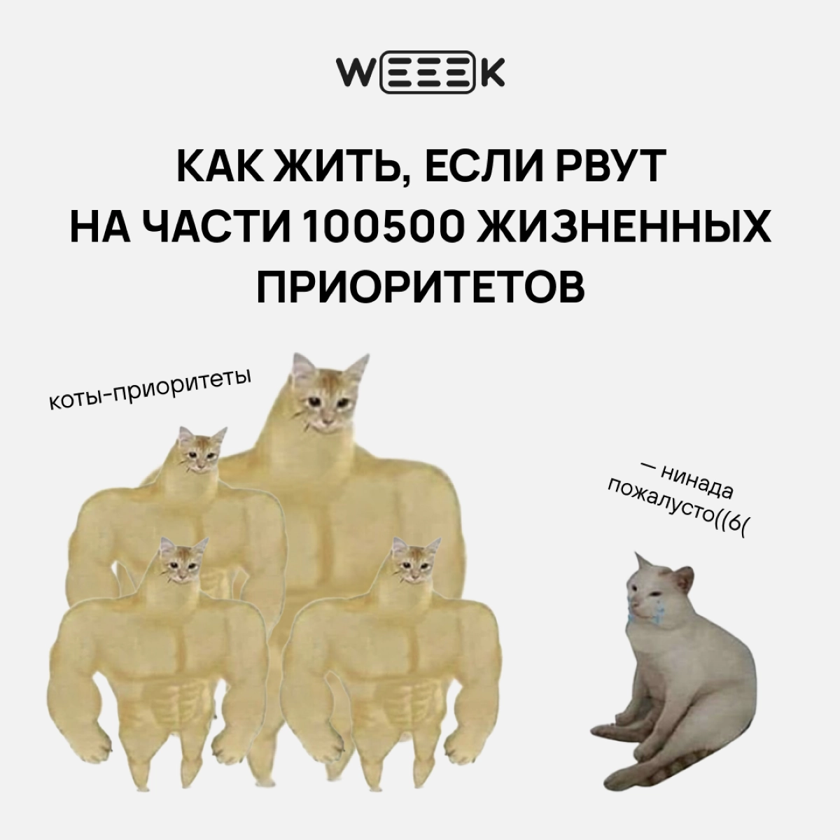 В жизни есть главное и неглавное. А мы тратим слишком много сил на неглавное. О расстановке приоритетов рассказываем в карточках👇🏻 | Сетка — новая социальная сеть от hh.ru