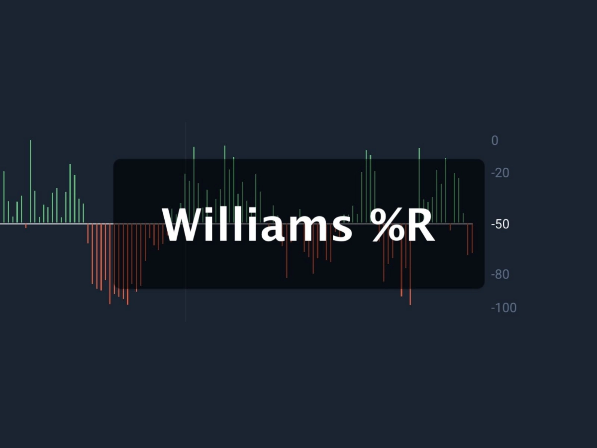 Индикатор Williams %R – это мощный инструмент для анализа перекупленности и перепроданности на рынке | Сетка — новая социальная сеть от hh.ru
