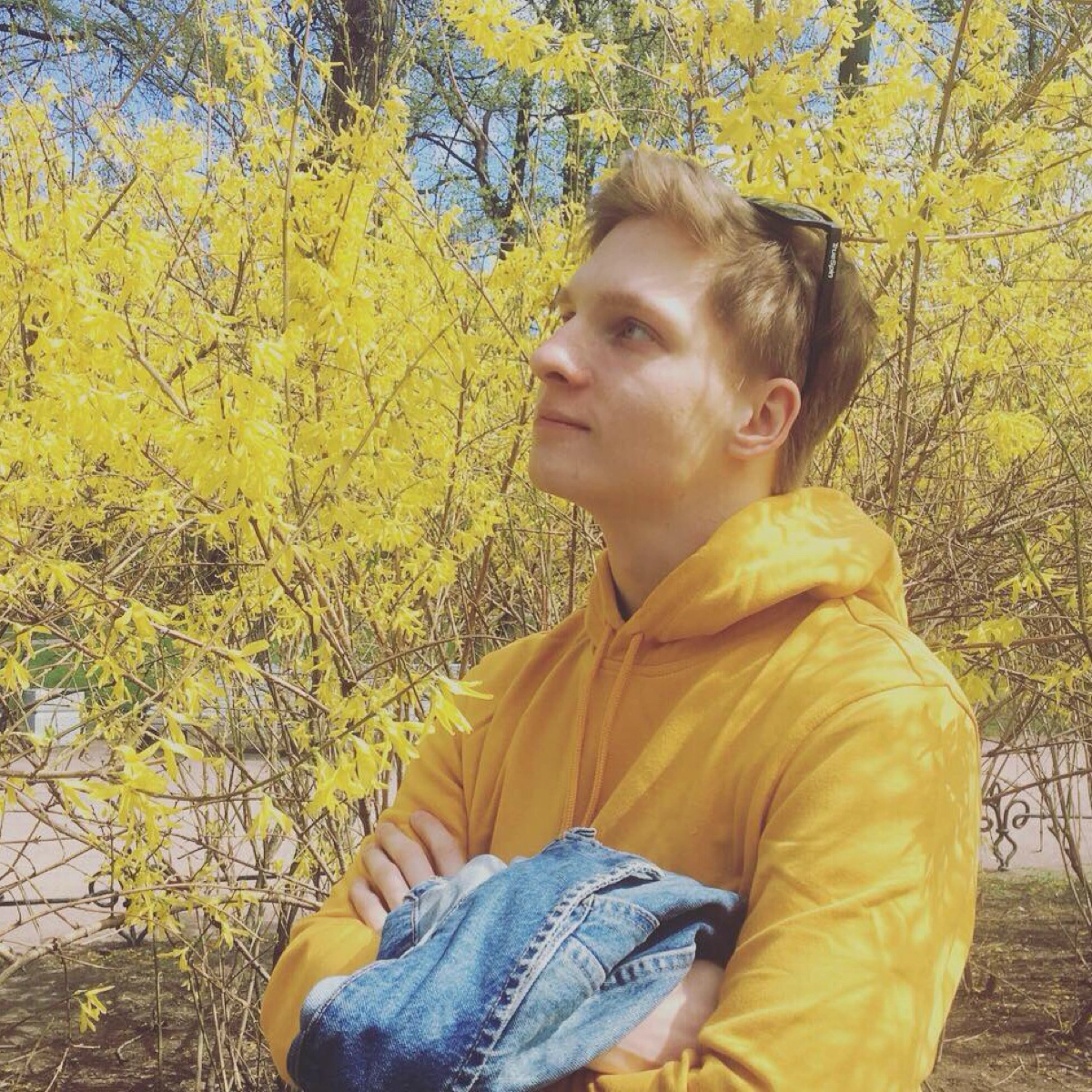 profile avatar