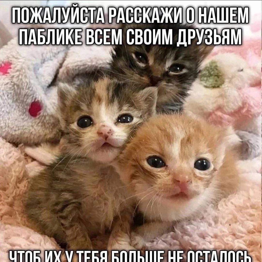 Сетка — новая социальная сеть от hh.ru