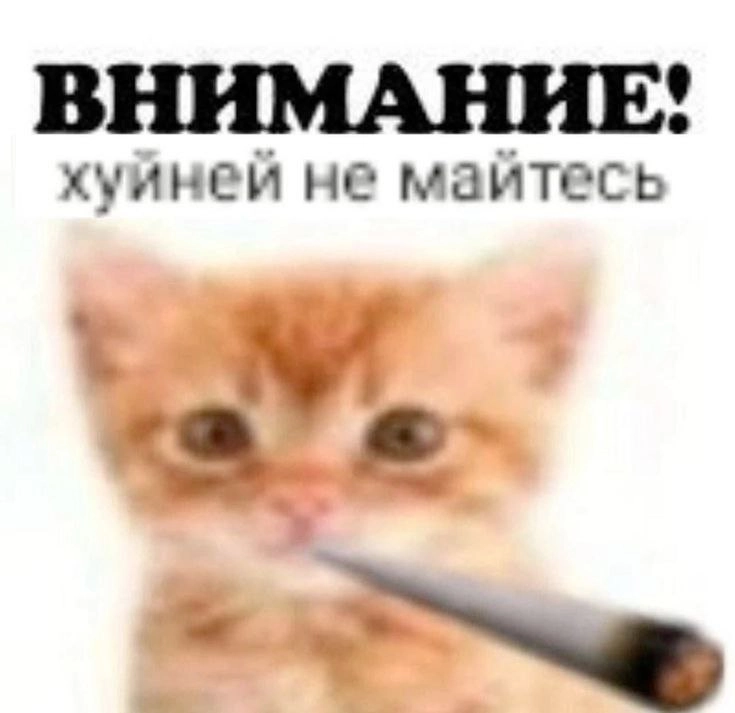 Сетка — новая социальная сеть от hh.ru