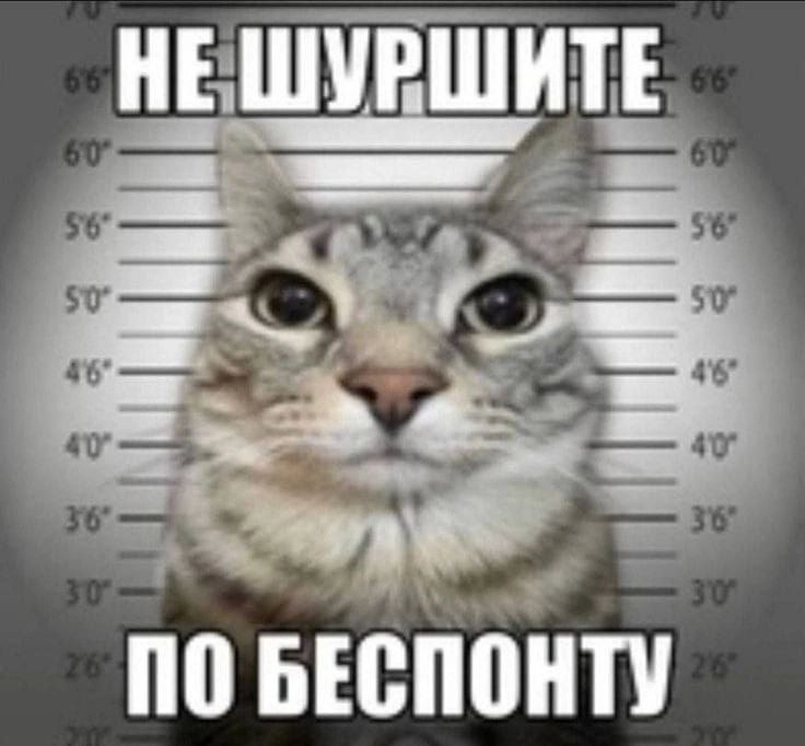 Сетка — новая социальная сеть от hh.ru