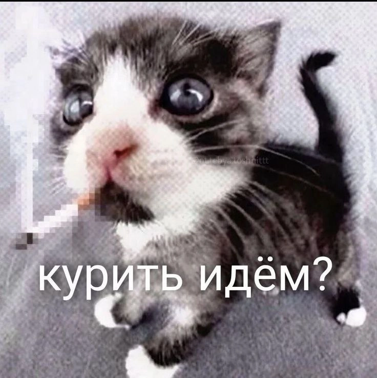 Сетка — новая социальная сеть от hh.ru