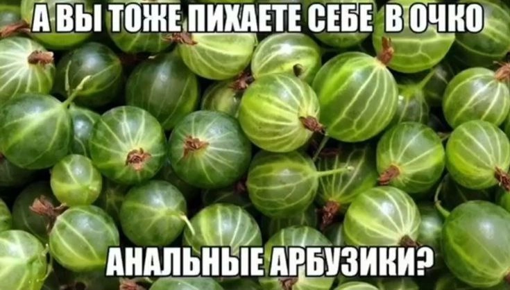 Сетка — новая социальная сеть от hh.ru