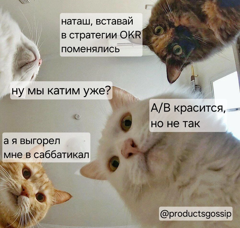 Пятничное утро в Айти 😁
P.S. тексты идейно-собирательные, а не то, что вы тут все подумали.
P.P.S. Но сон как рукой снимают
Таня, [ex-B2B 👩‍💻] 
@productsgossip | Сетка — новая социальная сеть от hh.ru
