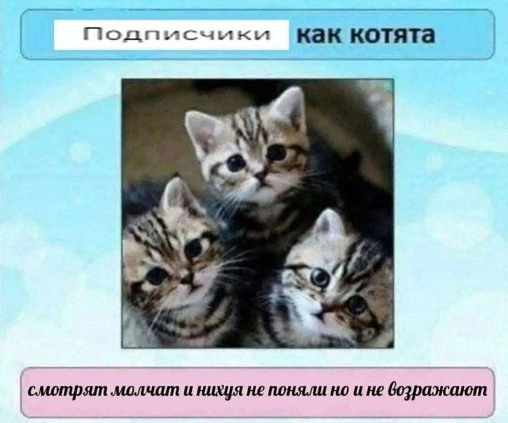 Сетка — новая социальная сеть от hh.ru