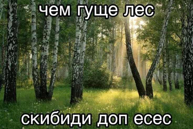 Сетка — новая социальная сеть от hh.ru