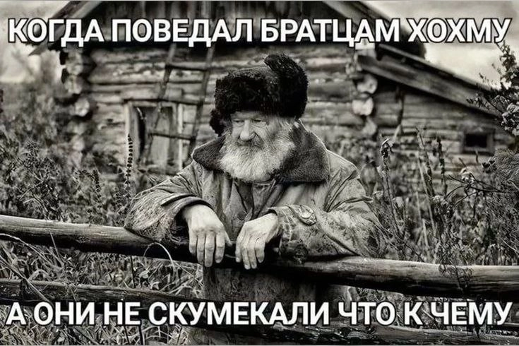 Сетка — новая социальная сеть от hh.ru