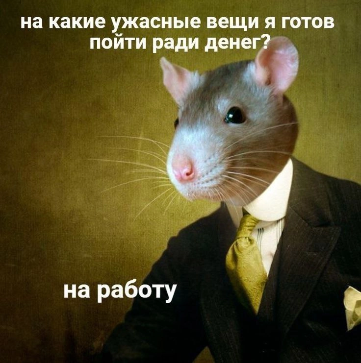Сетка — новая социальная сеть от hh.ru
