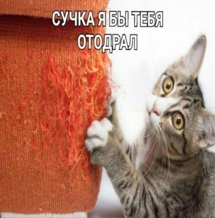 Сетка — новая социальная сеть от hh.ru