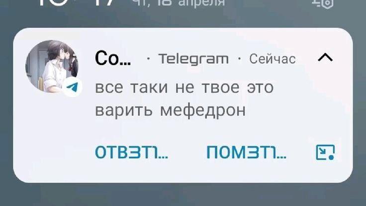 Сетка — новая социальная сеть от hh.ru