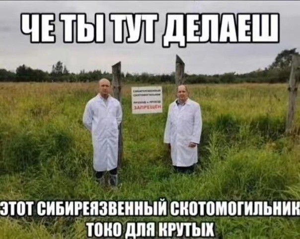 Сетка — новая социальная сеть от hh.ru
