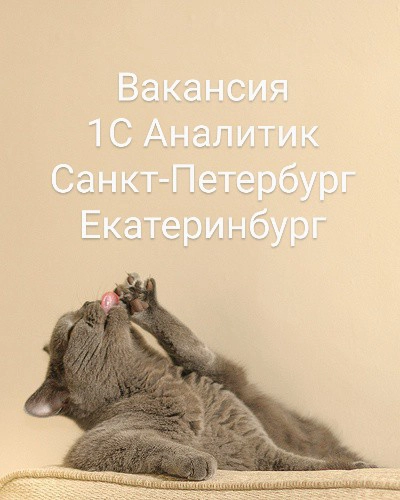 #Вакансия #Аналитик1С #1C #РФ #Спб #Екатеринбург #Fulltime  
АНАЛИТИК 1С  
ГК «Монополия»
Город: Санкт Петербург, Екатеринбург
Доход: от 230 000 net  
Мы ожидаем:
·         знание одной из конфигураци... | Сетка — новая социальная сеть от hh.ru