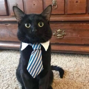 Денис Кочев