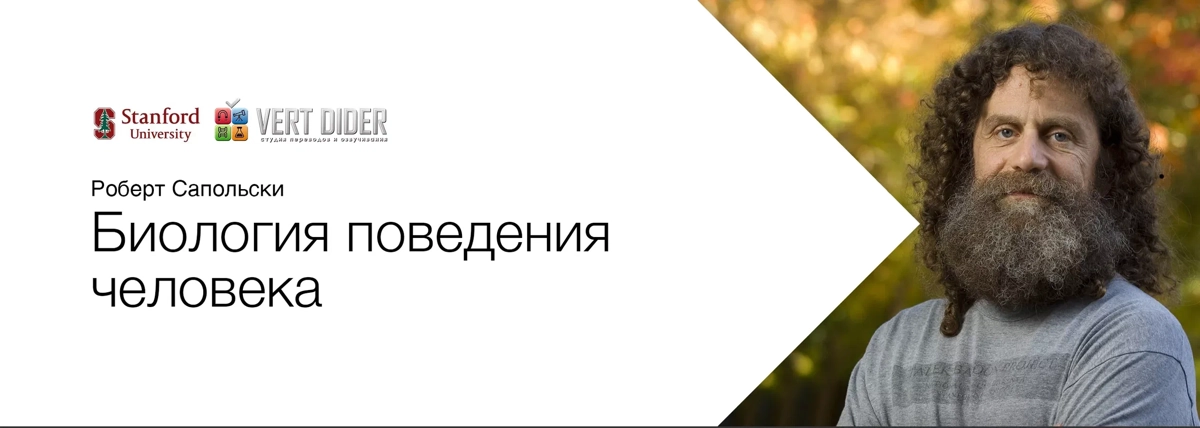 Коллеги, кто любит повышать свои глубокие медицинские знания- шикарный курс.
Доступен на русском на ютубе
Молекулярная генетика
Этология
Эндокринология
Нейро науки | Сетка — социальная сеть от hh.ru