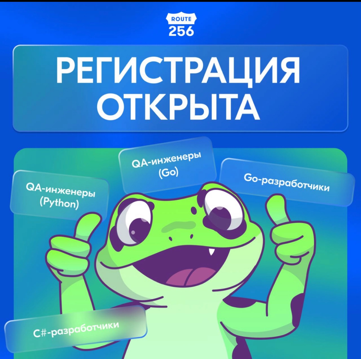 В ленте попадались вопросы как попасть на стажировки на Go или перейти на Go с других языков. Я отвечал, что есть курсы от компании Озон | Сетка — новая социальная сеть от hh.ru