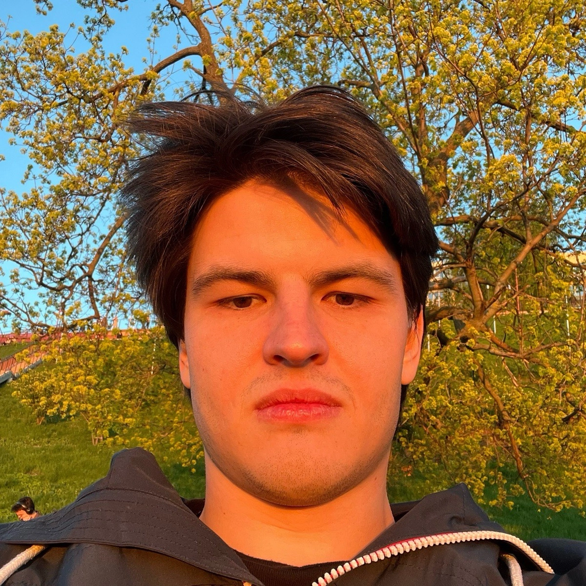 profile avatar