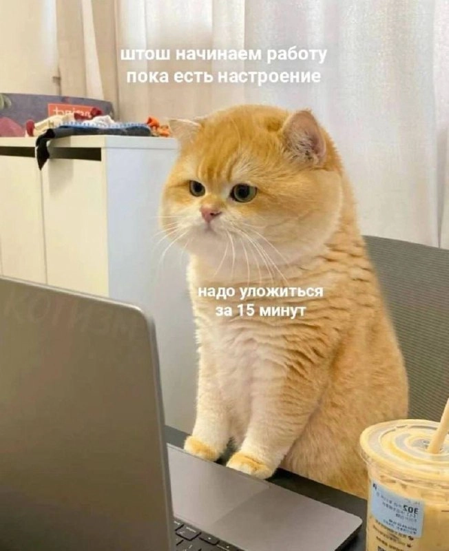 Доброе утро, зимнее в Москве ☃️
15 минут хватит на выполнение задач? Не уверен 😂
У кого насколько хватает настроение и задора работать на короткой неделе? | Сетка — новая социальная сеть от hh.ru