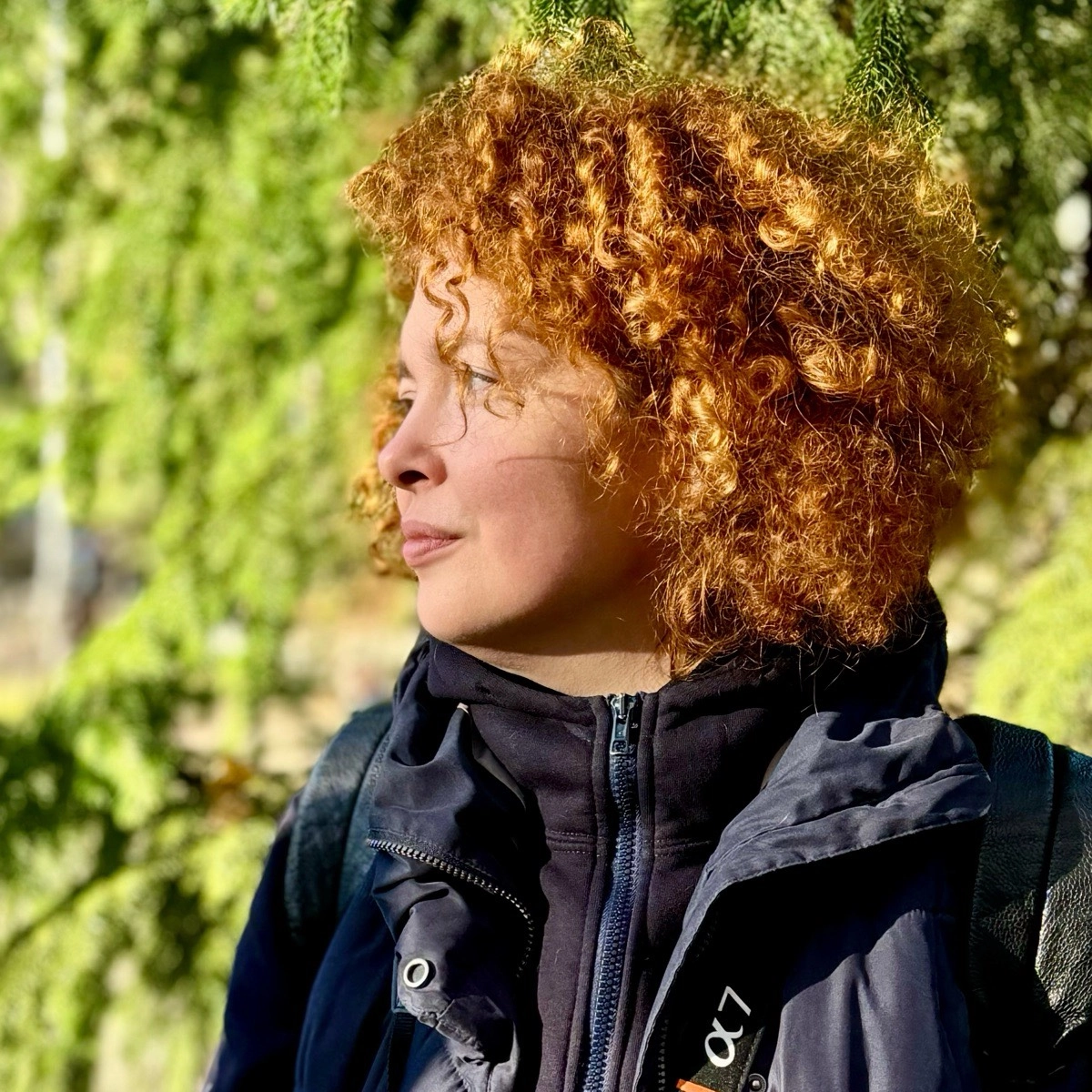 profile avatar