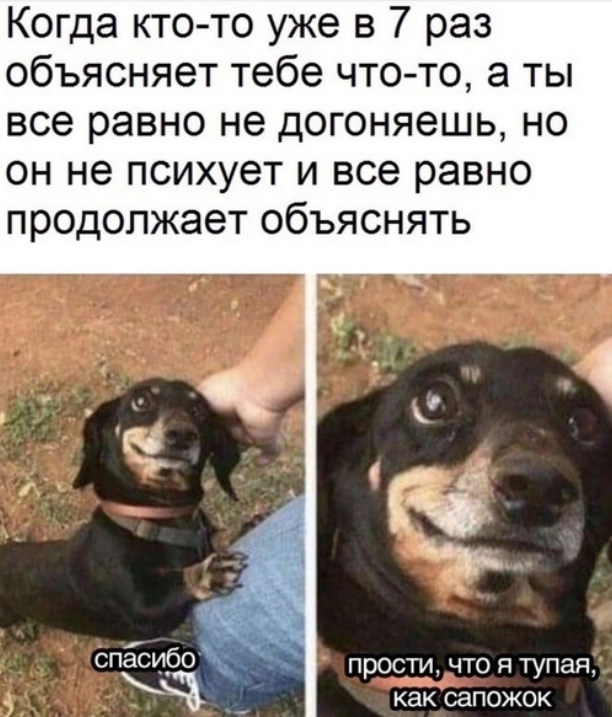 Стартуем канал с классического мема, когда тебе дают новую задачу 🫎 | Сетка — новая социальная сеть от hh.ru