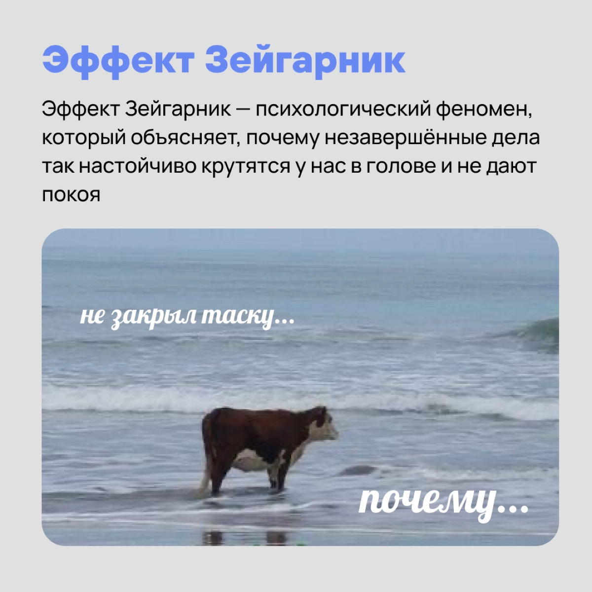 Гравитация, бессердечная ты …. И другие законы, которые не помогают, но больше пакостят нам в работе 🥸 | Сетка — новая социальная сеть от hh.ru