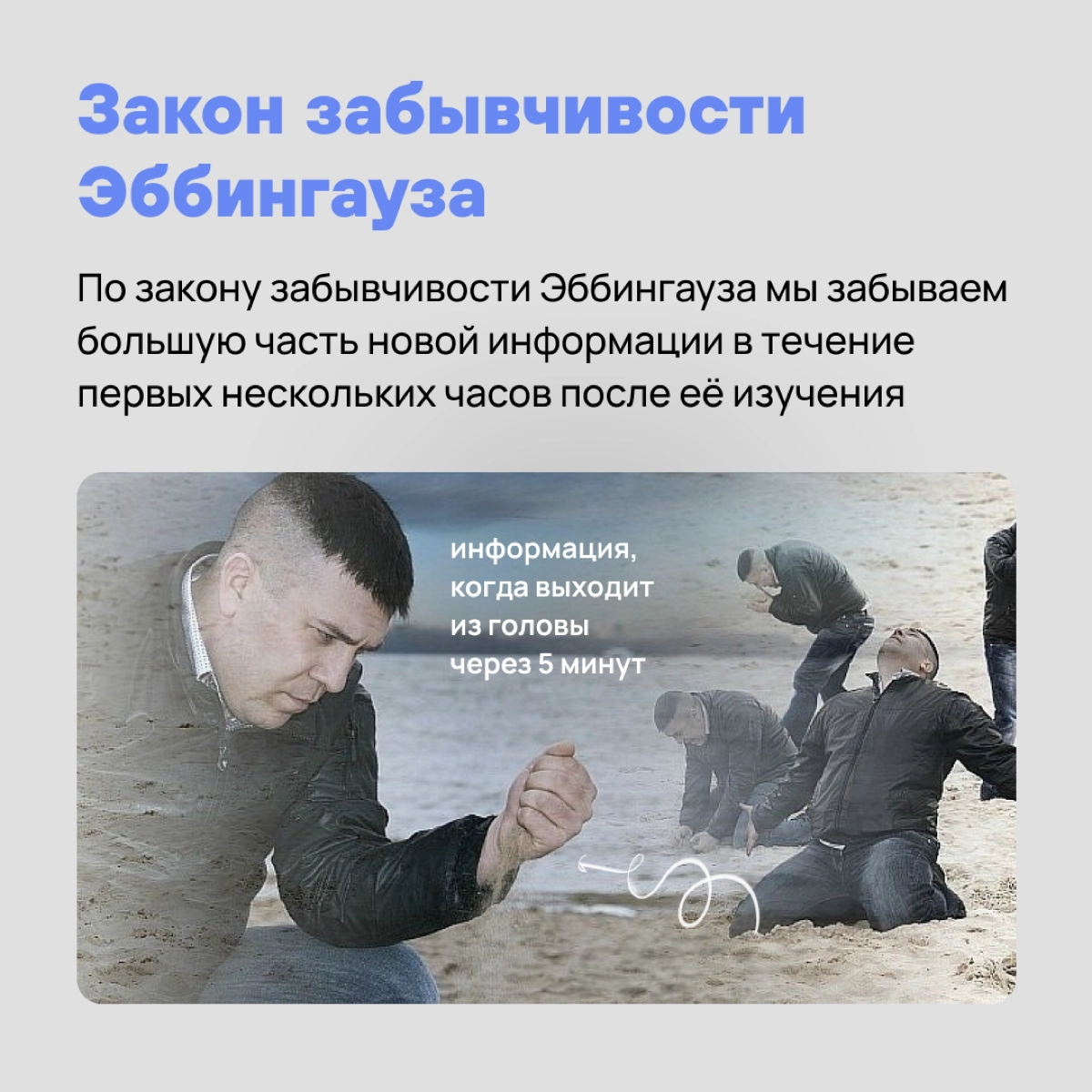 Гравитация, бессердечная ты …. И другие законы, которые не помогают, но больше пакостят нам в работе 🥸 | Сетка — новая социальная сеть от hh.ru