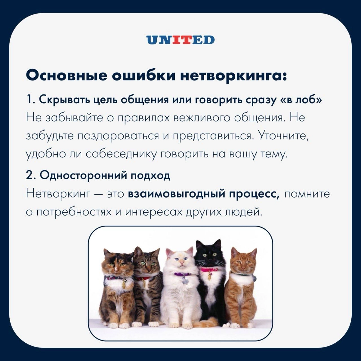 Нетворкинг в мире HR | Сетка — новая социальная сеть от hh.ru